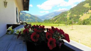 Ausblick Balkon Apartment Edelweiss