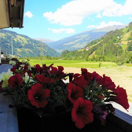 Ausblick Balkon Apartment Edelweiss