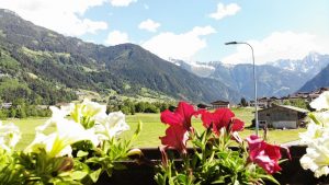 Ausblick Balkon Apartment Edelweiss